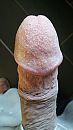 Close up dikke eikel, foto 1836x3264, 1 reacties, 3 stemmen