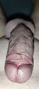 Close up, foto 1800x4000, 0 reacties, 3 stemmen