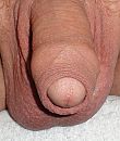 Cock Pic 4, foto 870x1024, 2 reacties, 4 stemmen