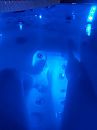 Come, foto 540x720, 0 reacties, 2 stemmen