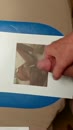 Cum tribute...voor milf-jes, film 00:00:00, 1 reacties, 3 stemmen