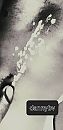 Cum on my belly, foto 1078x2216, 1 reacties, 3 stemmen