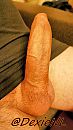 Daar zit ie weer, foto 1170x2079, 5 reacties, 10 stemmen