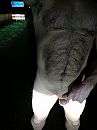 De ballen waren er ook, foto 1728x2304, 1 reacties, 7 stemmen