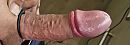 Dick, foto 1920x674, 1 reacties, 9 stemmen