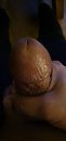 Dikke eikel 3, foto 757x1600, 0 reacties, 4 stemmen