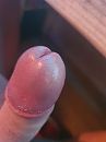 Dikke eikel, foto 3000x4000, 2 reacties, 10 stemmen
