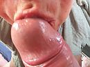 Dikke eikel, foto 4000x3000, 5 reacties, 31 stemmen