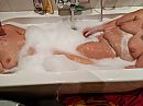 Donderdag HAMAM 1, foto 4000x3000, 7 reacties, 45 stemmen