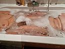 Donderdag HAMAM 2, foto 4000x3000, 3 reacties, 30 stemmen