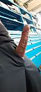 Dringend spuiten!, foto 1204x2608, 4 reacties, 11 stemmen