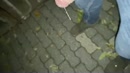 Dripping, film 00:00:11, 8 reacties, 38 stemmen