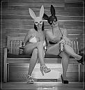 Drunken Liquor Bunnies, foto 3514x3712, 5 reacties, 73 stemmen