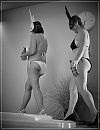 Drunken Liquor Bunnies, foto 3112x4000, 4 reacties, 54 stemmen