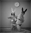 Drunken Liquor Bunnies, foto 3453x3712, 2 reacties, 53 stemmen