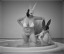 Drunken Liquor Bunnies, foto 4000x3399, 7 reacties, 77 stemmen