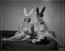 Drunken Liquor Bunnies, foto 4000x3153, 7 reacties, 82 stemmen