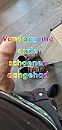 Dus, foto 1838x3840, 0 reacties, 3 stemmen