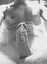 …, foto 960x1280, 3 reacties, 14 stemmen
