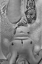 …, foto 2580x3874, 7 reacties, 59 stemmen