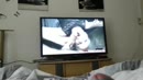 Echt geil filmpje, film 00:00:00, 2 reacties, 8 stemmen