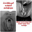 Een geile vriendin van ons, foto 2000x2000, 5 reacties, 37 stemmen