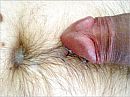 Een navel vol., foto 510x383, 1 reacties, 4 stemmen