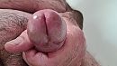 Eikel, foto 3216x1808, 3 reacties, 7 stemmen