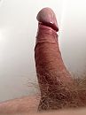 Eikel volledig bloot, foto 960x1280, 6 reacties, 6 stemmen