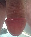 Eikel, foto 1365x1627, 2 reacties, 2 stemmen