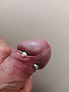 Eikelring zo lekker, foto 3000x4000, 8 reacties, 7 stemmen