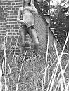 En iets te...., foto 1614x2122, 5 reacties, 52 stemmen