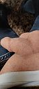 Even, foto 1802x4000, 3 reacties, 8 stemmen