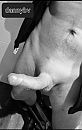 Even luchten, foto 626x988, 1 reacties, 8 stemmen