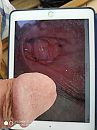 Even snel, foto 3000x4000, 3 reacties, 19 stemmen