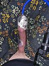 Even spelen, foto 3000x4000, 4 reacties, 7 stemmen