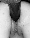 Even vullen, foto 2433x3126, 6 reacties, 56 stemmen