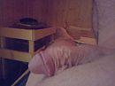 Even zweten in de sauna, foto 3264x2448, 3 reacties, 8 stemmen
