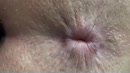 Extreem close up., film 00:00:17, 1 reacties, 12 stemmen