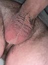 , foto 1170x1552, 0 reacties, 6 stemmen