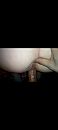 Facedown ass up!!, foto 1080x2400, 0 reacties, 6 stemmen