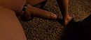 Ff snel, foto 4000x1801, 0 reacties, 4 stemmen