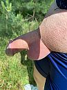 Fietstochtje1, foto 3000x4000, 2 reacties, 6 stemmen