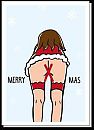 Fijne Kerstdagen, foto 191x263, 3 reacties, 31 stemmen