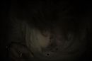 Fijne avond..... ;-) xxx, foto 694x465, 1 reacties, 38 stemmen