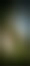 Fredje zijn kontgaatje, film 00:00:00, 1 reacties, 7 stemmen