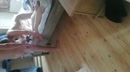 Fwb als amateurhoertje!, film 00:00:14, 10 reacties, 98 stemmen