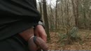 Galderse bossen, film 00:00:00, 5 reacties, 17 stemmen