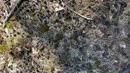 Geil in het bos, film 00:00:00, 1 reacties, 12 stemmen