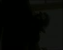 Geil spuiten, film 00:00:00, 10 reacties, 23 stemmen